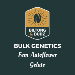 Biltong and Budz Bulk Genetics - Gelato [Fem Autoflower]