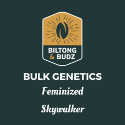 Biltong and Budz Bulk Genetics - Skywalker [Feminized]