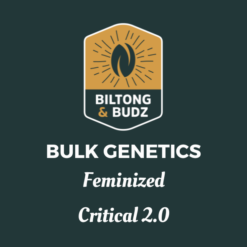 Biltong and Budz Bulk Genetics - Critical 2.0 [Feminized]