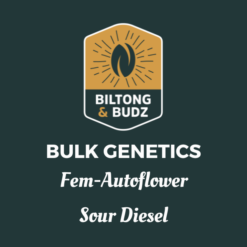 Biltong and Budz Bulk Genetics - Sour Diesel [Fem Autoflower]