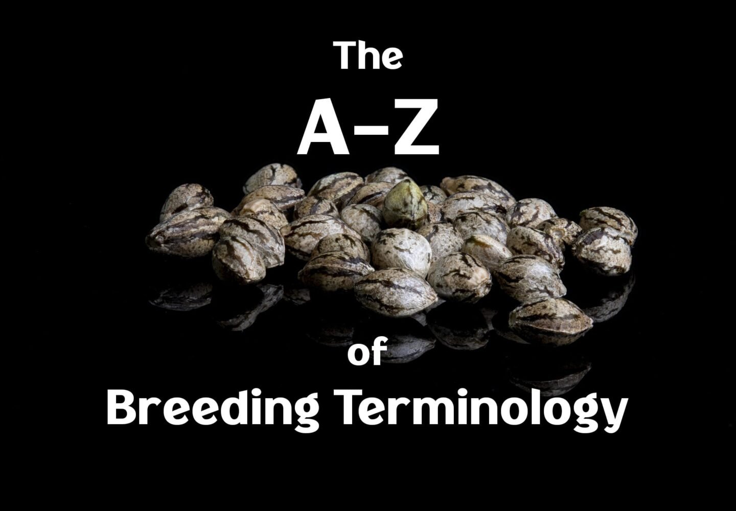 cannaibs breeding terms