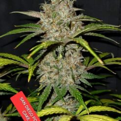 FB IMG 1696020692383