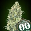 auto white widow xxl 3 u fem 00 seeds p1