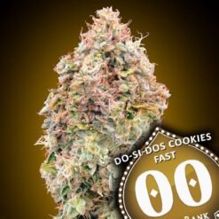 00 Seeds - Do-Si-Dos Cookies FAST [Feminized]