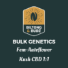 Biltong and Budz Bulk Genetics - Kush CBD 1:1 [Fem Autoflower]