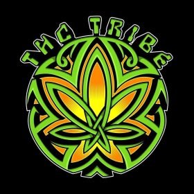 THC Tribe