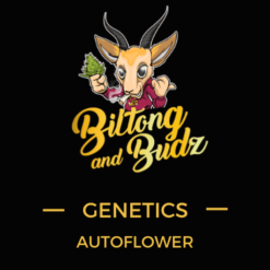 Biltong and Budz Genetics – Moonshine Cookies [Fem Autoflower]