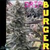 drip burger skunk house 1