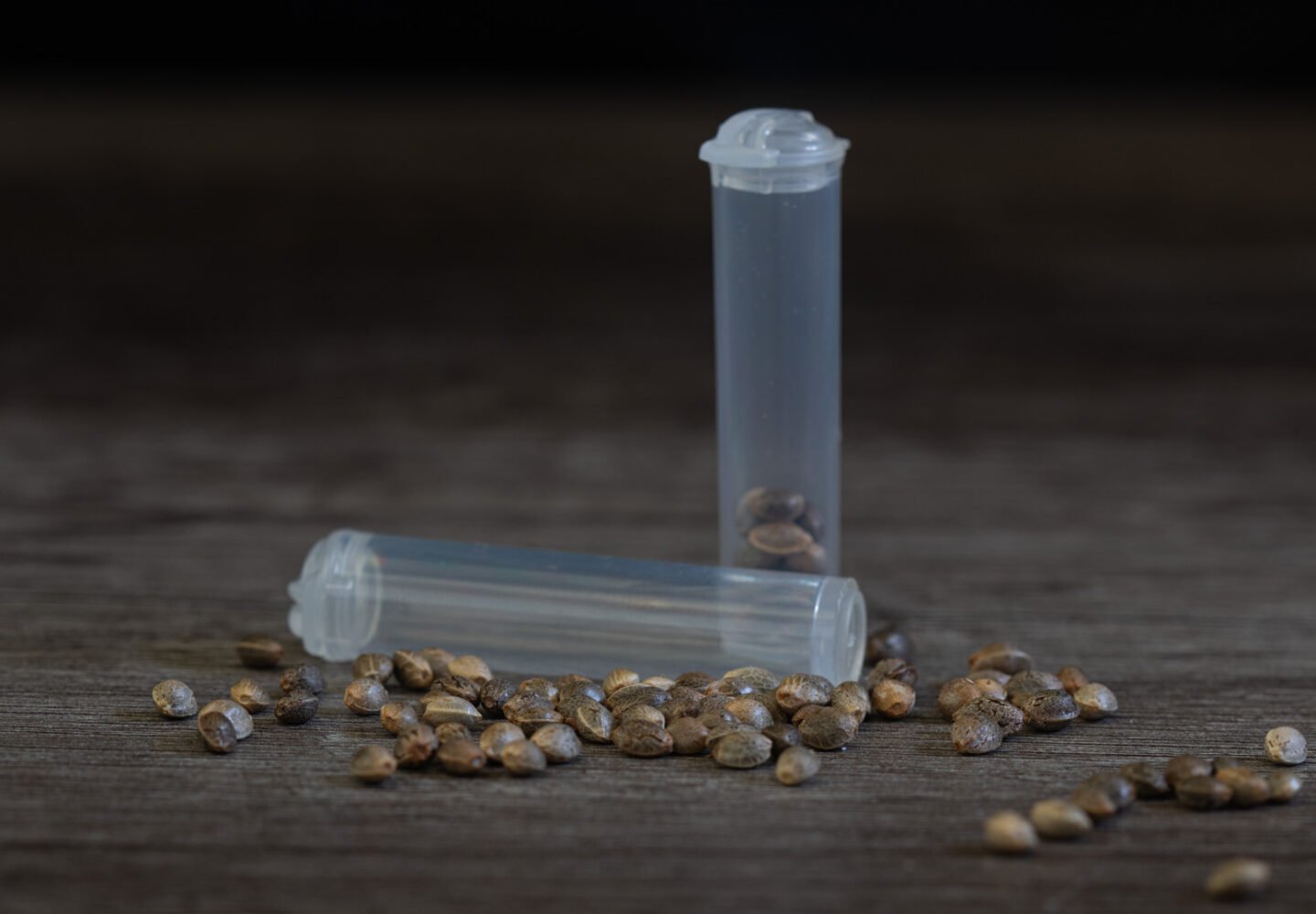 White Label Cannabis Seeds