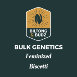 Biltong and Budz Bulk Genetics - Biscotti [Feminized]