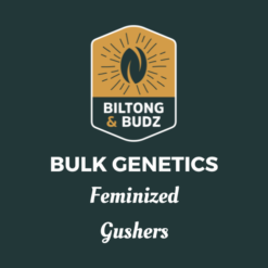 Biltong and Budz Bulk Genetics - Gushers [Feminized]