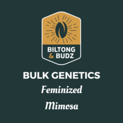 Biltong and Budz Bulk Genetics - Mimosa [Feminized]