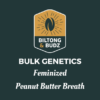 Biltong and Budz Bulk Genetics Peanut Butter Breath Feminized