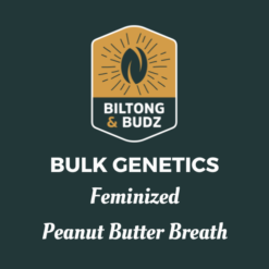 Biltong and Budz Bulk Genetics - Peanut Butter Breath [Feminized]