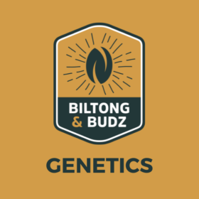 Biltong and Budz Genetics