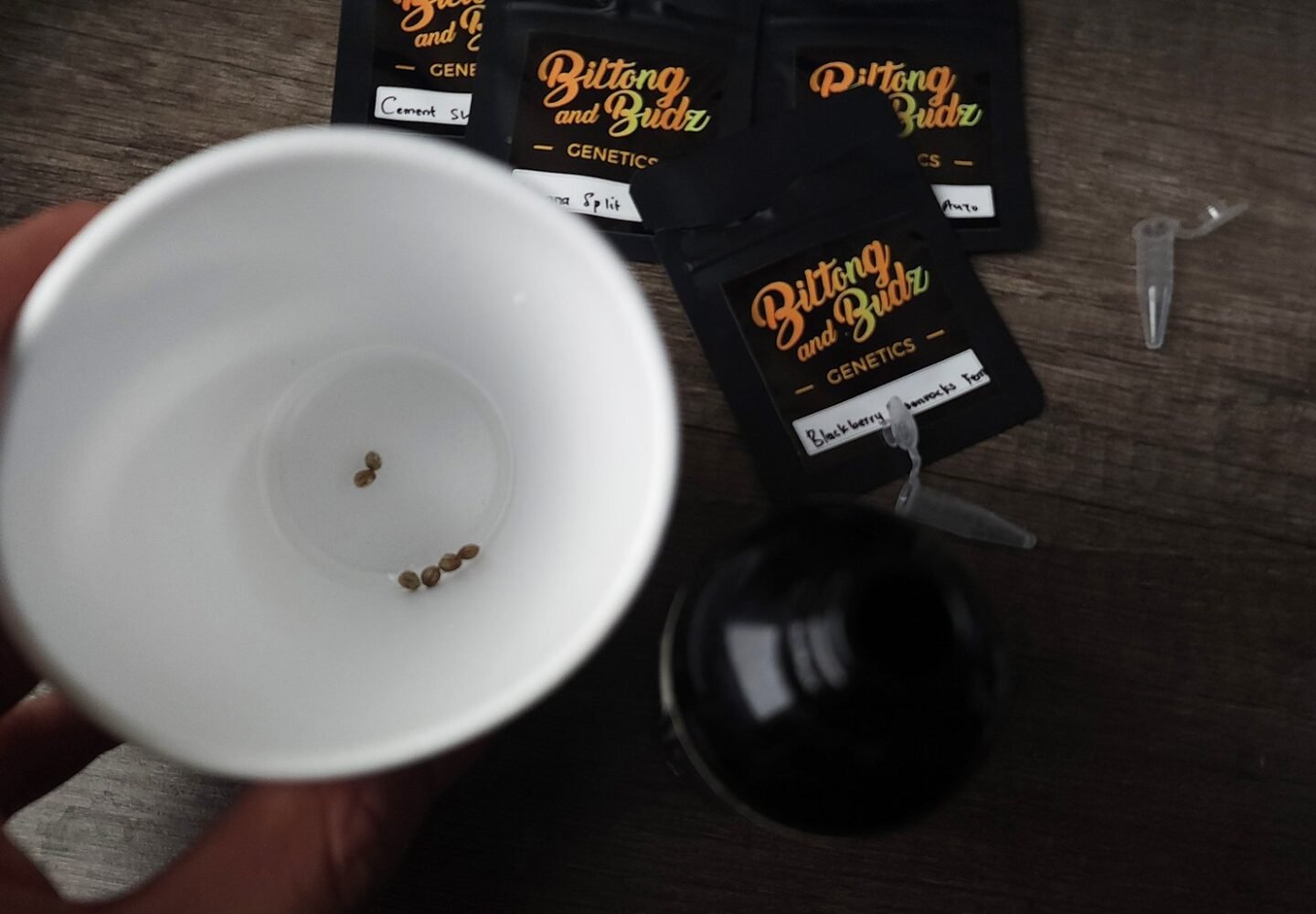 h2o2 cannabis seeds