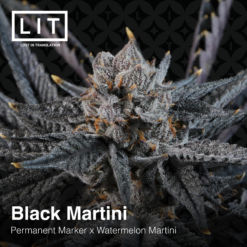 LIT Farms Black Martini Feminized2
