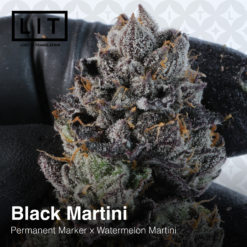 LIT Farms Black Martini Feminized3