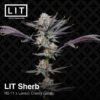 LIT Farms LIT Sherb Feminized