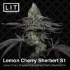 LIT Farms Lemon Cherry Sherbert S1 Feminized