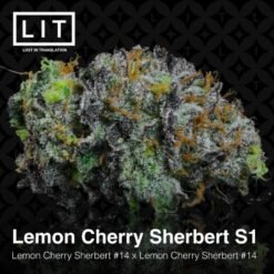 LIT Farms Lemon Cherry Sherbert S1 Feminized2