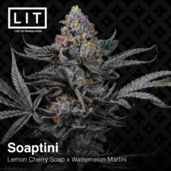 LIT Farms Soaptini Feminized1