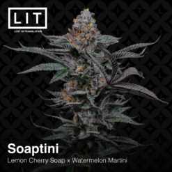 LIT Farms Soaptini Feminized3