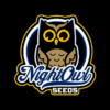NightOwlLogo 1