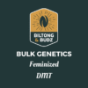 Biltong and Budz Bulk Genetics DMT Feminized