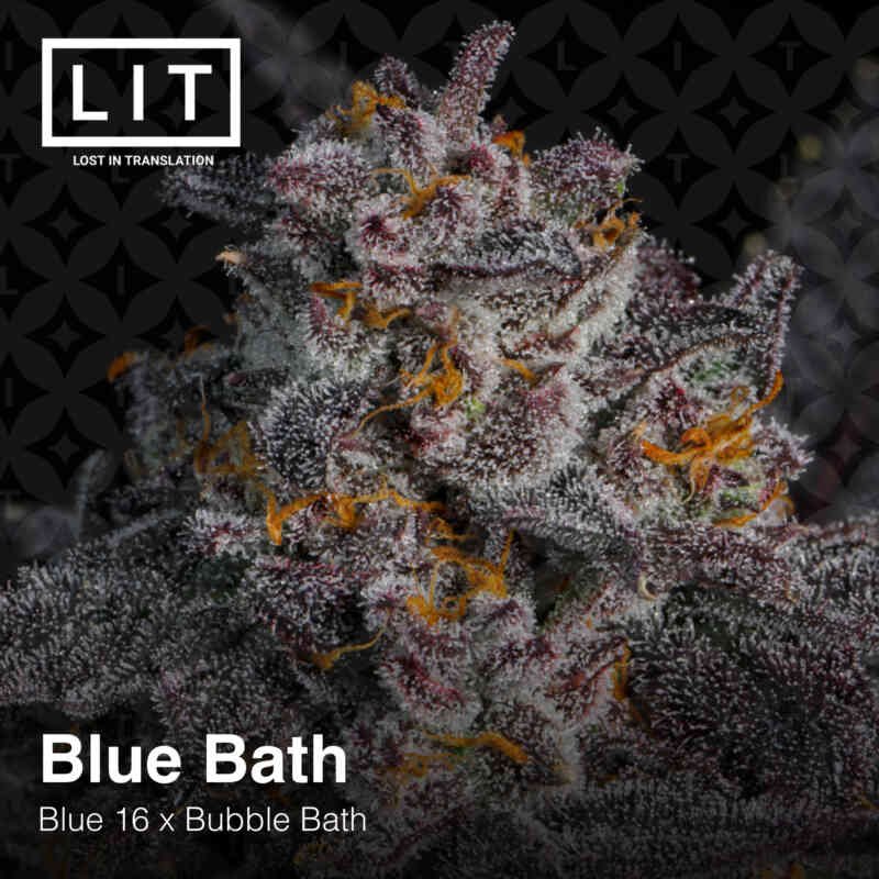 LIT Farms Blue Bath Feminized1