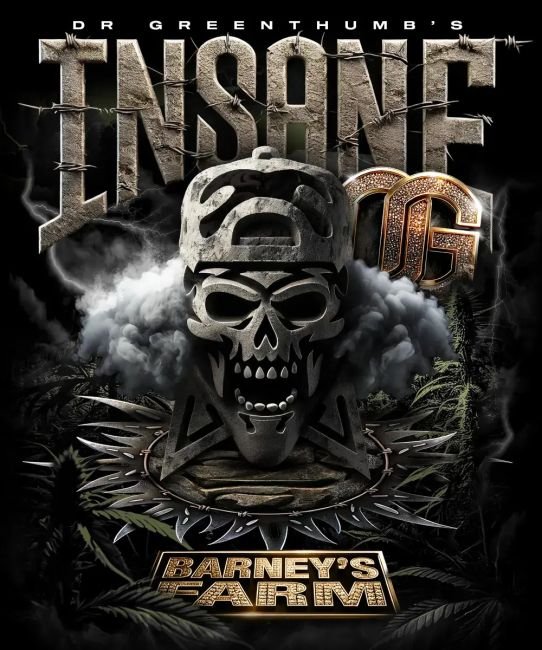 barneys farm insane og feminized