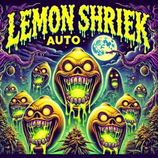 Biltong and Budz Bulk Genetics - Lemon Shriek [Fem Autoflower]