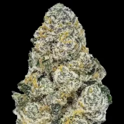 Fast Buds - Lemonpaya [Feminized]