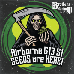 Brothers Grimm Seeds - Airborne G13 S1 [Feminized]