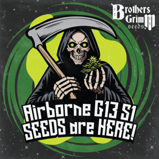 Brothers Grimm Seeds Airborne G13 S1 Feminized