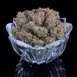 Brothers Grimm Seeds Apollo Feminized2
