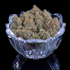 Brothers Grimm Seeds Cinderella 99 Feminized2