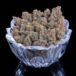 Brothers Grimm Seeds Cinderella Pineapple Feminized2