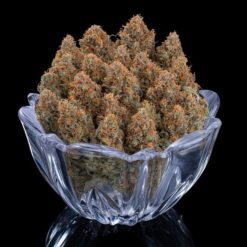 Brothers Grimm Seeds Cinderella Purple Feminized3