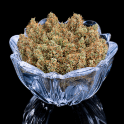 Brothers Grimm Seeds Durban Thai x C99 Feminized2