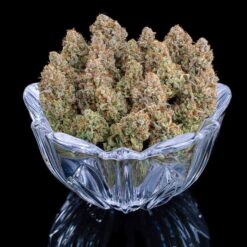 Brothers Grimm Seeds Grimm Glue Feminized2