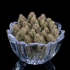 Brothers Grimm Seeds Ocifer Feminized3