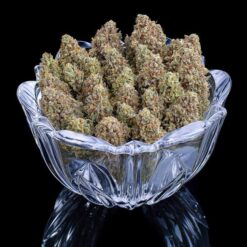 Brothers Grimm Seeds Space Queen Feminized2
