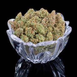 Brothers Grimm Seeds Thai Herer 99 Feminized2