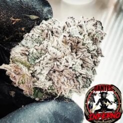 Tiki Madman dantes inferno feminized