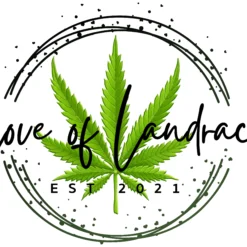 Love Of Landrace – Black Tiger/Pakistani Landrace [Regular]